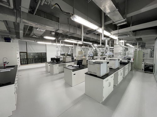 向地球深部進軍 山東能源集團深部煤炭數智化高效開采成套技術與工程應用引領煤炭工業高質量發展