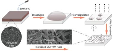 朱嘉教授課題組在有機 無機雜化型鈣鈦礦納米線制備及其光電器件應(yīng)用的研究中取得進展