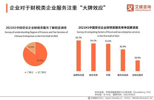 2021上半年中國財(cái)稅企業(yè)服務(wù)洞察 信息技術(shù)咨詢驅(qū)動行業(yè)變革
